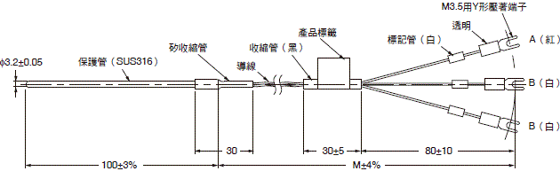 3151_dm_3